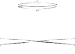 Batteriste Italiane Logo